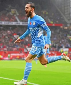 Portuguese Bernardo Silva Paint By Numbers