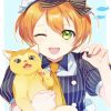 Rin Hoshizora And Cat Paint By Numbers