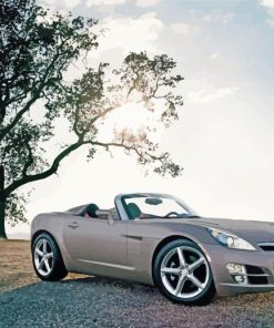 Saturn Sky Car Paint By Numbers