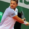 Stan Wawrinka Paint By Numbers