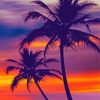 Sunset Palm Trees Paint By Numbers