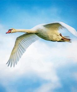 Swan In Flight Paint By Numbers