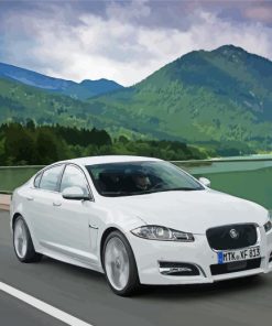 White Jaguar Xf Paint By Numbers