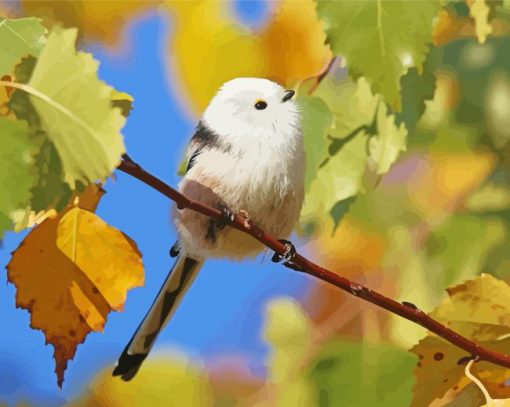 White Long Tailed Tit Paint By Numbers