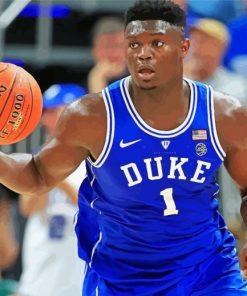 Zion Williamson Basketball Player Paint By Numbers