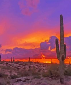 Aesthetic Sunset Arizona Paint By Numbers