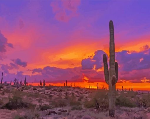 Aesthetic Sunset Arizona Paint By Numbers