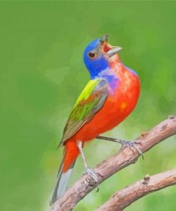 Aesthetic Singing Painted Bunting Paint By Numbers