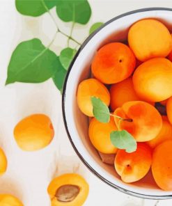 Apricots Fruit Paint By Numbers