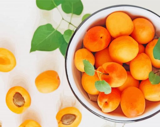 Apricots Fruit Paint By Numbers