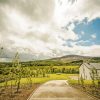 Beautiful Irish Countryside Paint By Numbers