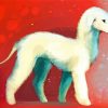 Bedlington Terrier Art Paint By Numbers