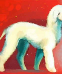 Bedlington Terrier Art Paint By Numbers