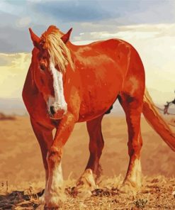 Brown Alone Horse Paint By Numbers