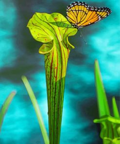 Butterfly On Pitcher Plant Paint By Numbers