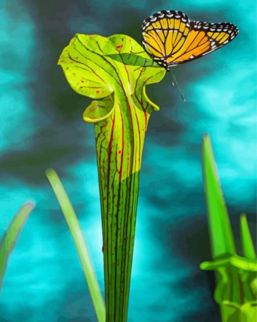 Butterfly On Pitcher Plant Paint By Numbers