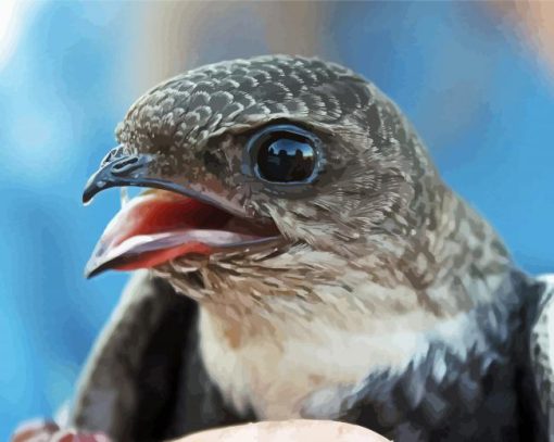 Close Up Swift Bird Paint By Numbers