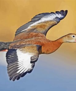 Flying Whistling Duck Paint By Numbers