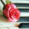 Old Piano With Pink Rose Paint By Numbers