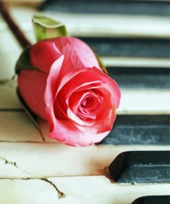 Old Piano With Pink Rose Paint By Numbers