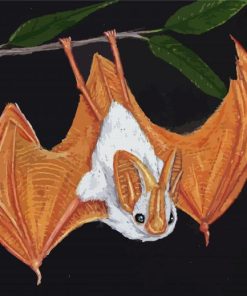 Winged Bat Art Paint By Numbers