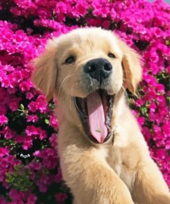 Puppy In Pink Flowers Paint By Numbers