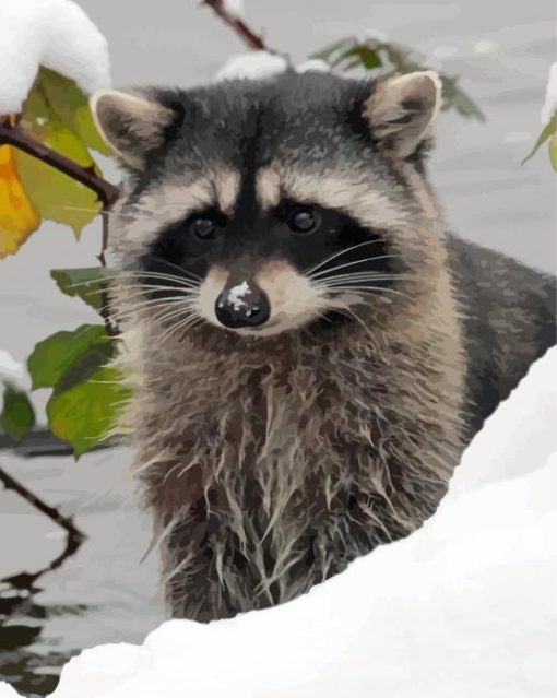 Snow Raccoon Animal Paint By Numbers