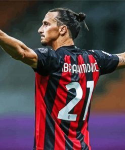 The Footballer Zlatan Ibrahimović Paint By Numbers