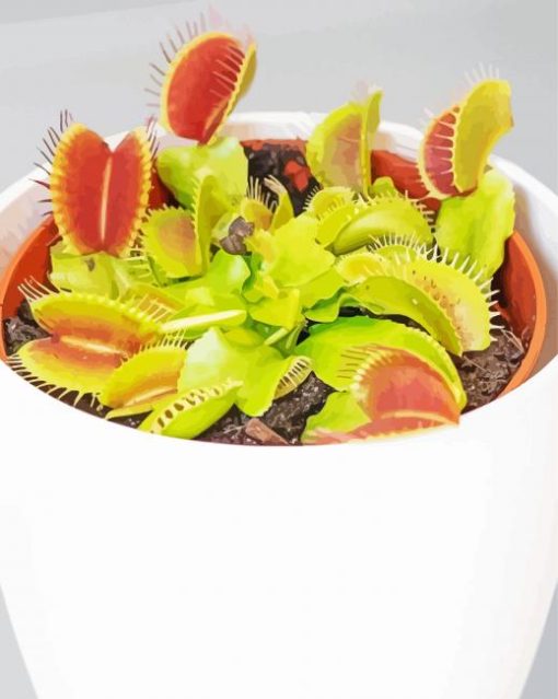 White Venus Flytrap Pot Paint By Numbers