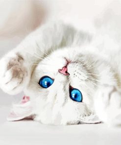 White Cat With Blue Eyes Paint By Numbers