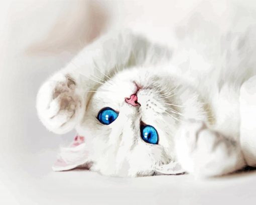 White Cat With Blue Eyes Paint By Numbers