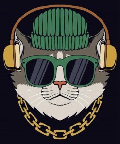 Cat With Headphones And Glasses Paint By Numbers