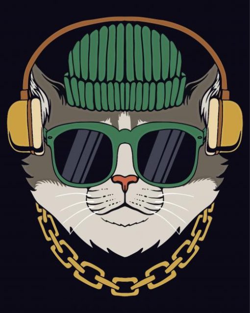 Cat With Headphones And Glasses Paint By Numbers