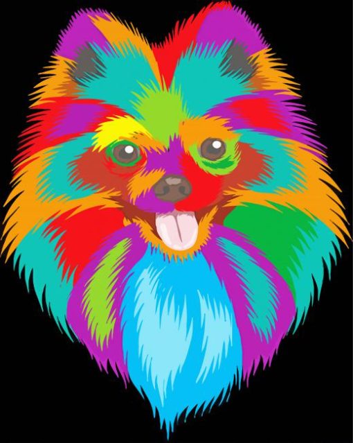 Colorful Pomeranian Dog Head Paint By Numbers