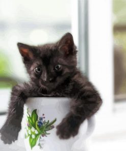 Black Kitten In Cup Paint By Numbers