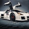 White Gumpert Paint By Numbers