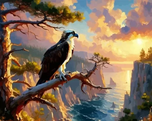 Osprey Art Paint By Number