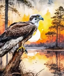 Osprey Sunset Paint By Number