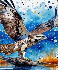 Splash Osprey Paint By Number