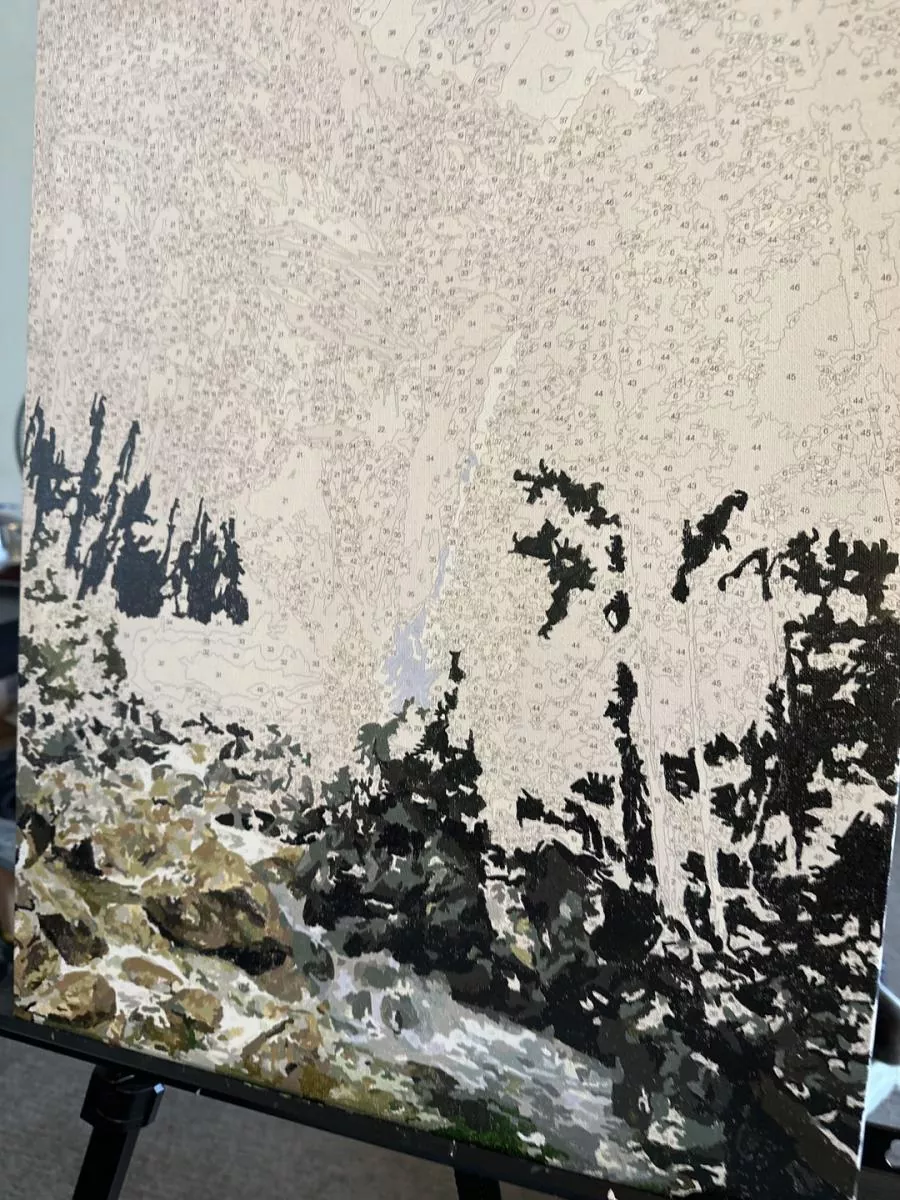 Custom Paint By Numbers​ Landscape review 1