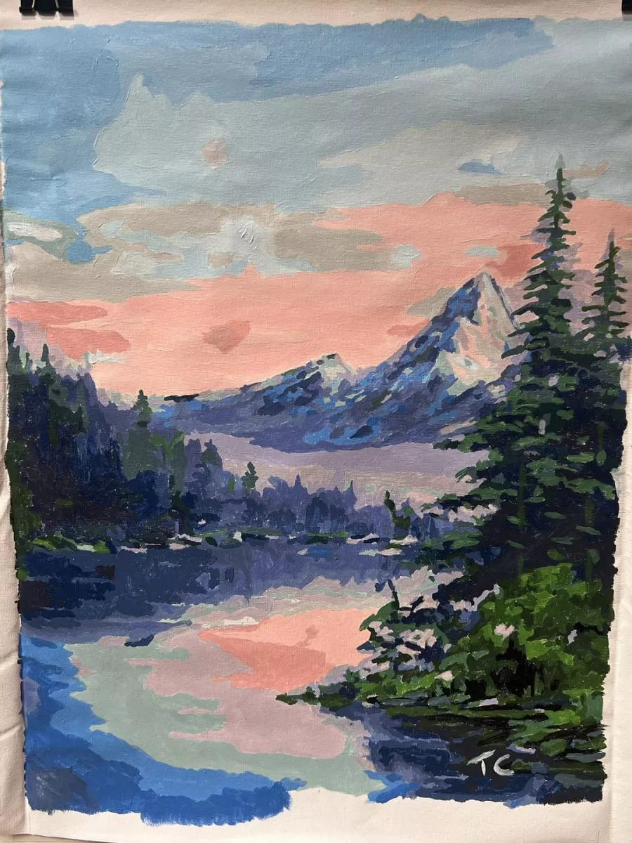 Custom Paint By Numbers​ Landscape review 4