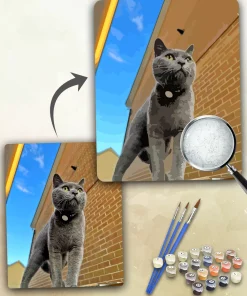 Paint By Numbers Custom​ Pets