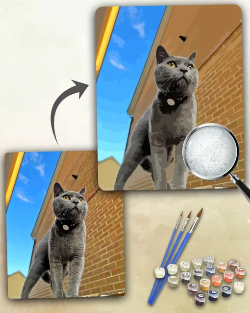 Paint By Numbers Custom​ Pets