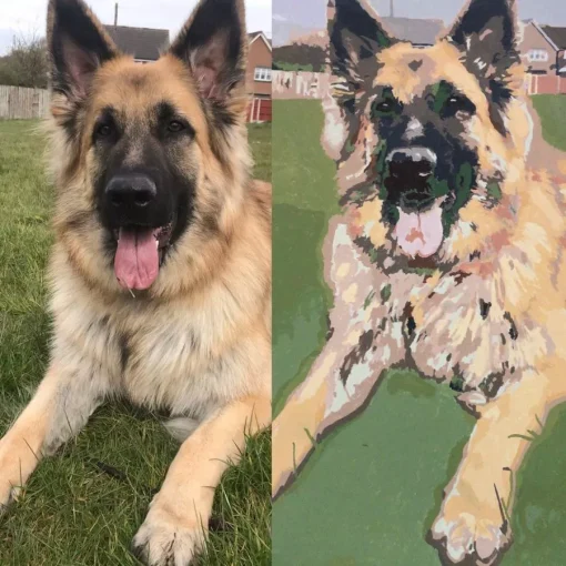 Paint By Numbers Custom​ Pets gallery
