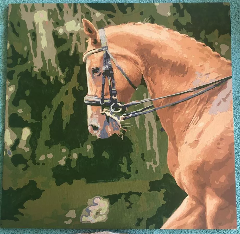 Paint By Numbers Custom​ Pets rev 1