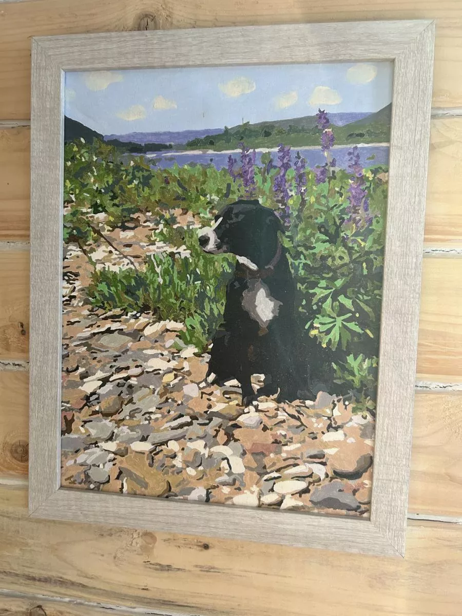 Paint By Numbers Custom​ Pets rev 2