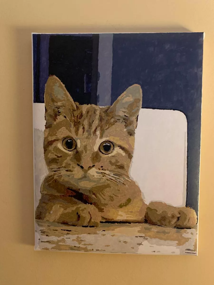 Paint By Numbers Custom​ Pets rev 3