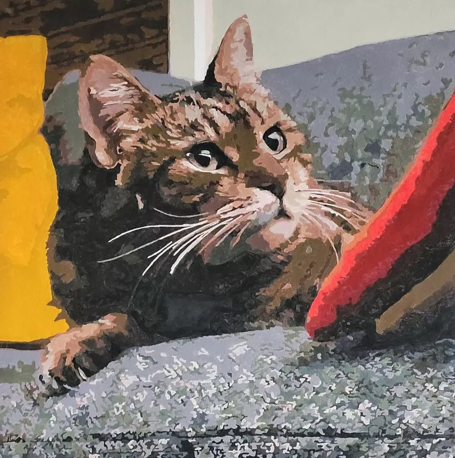 Paint By Numbers Custom​ Pets rev 5