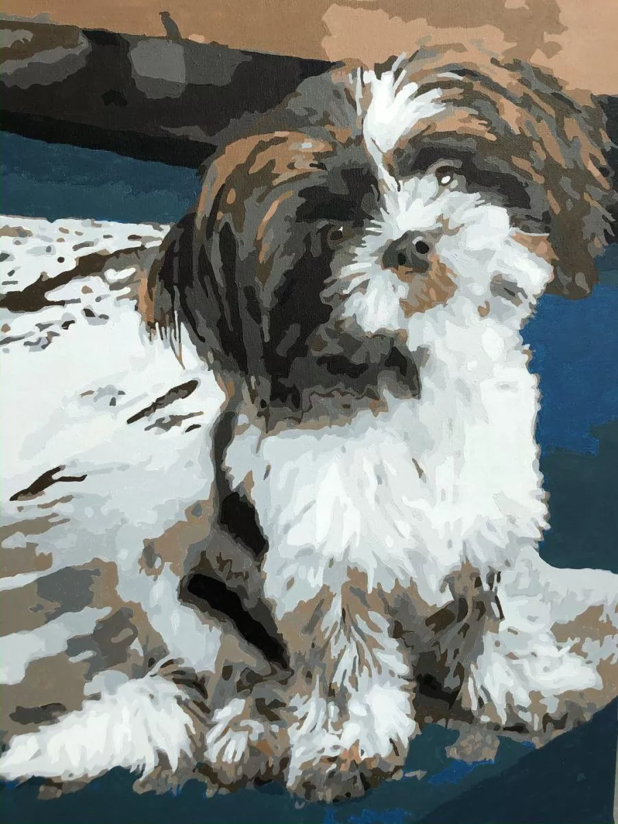 Paint By Numbers Custom​ Pets rev 6