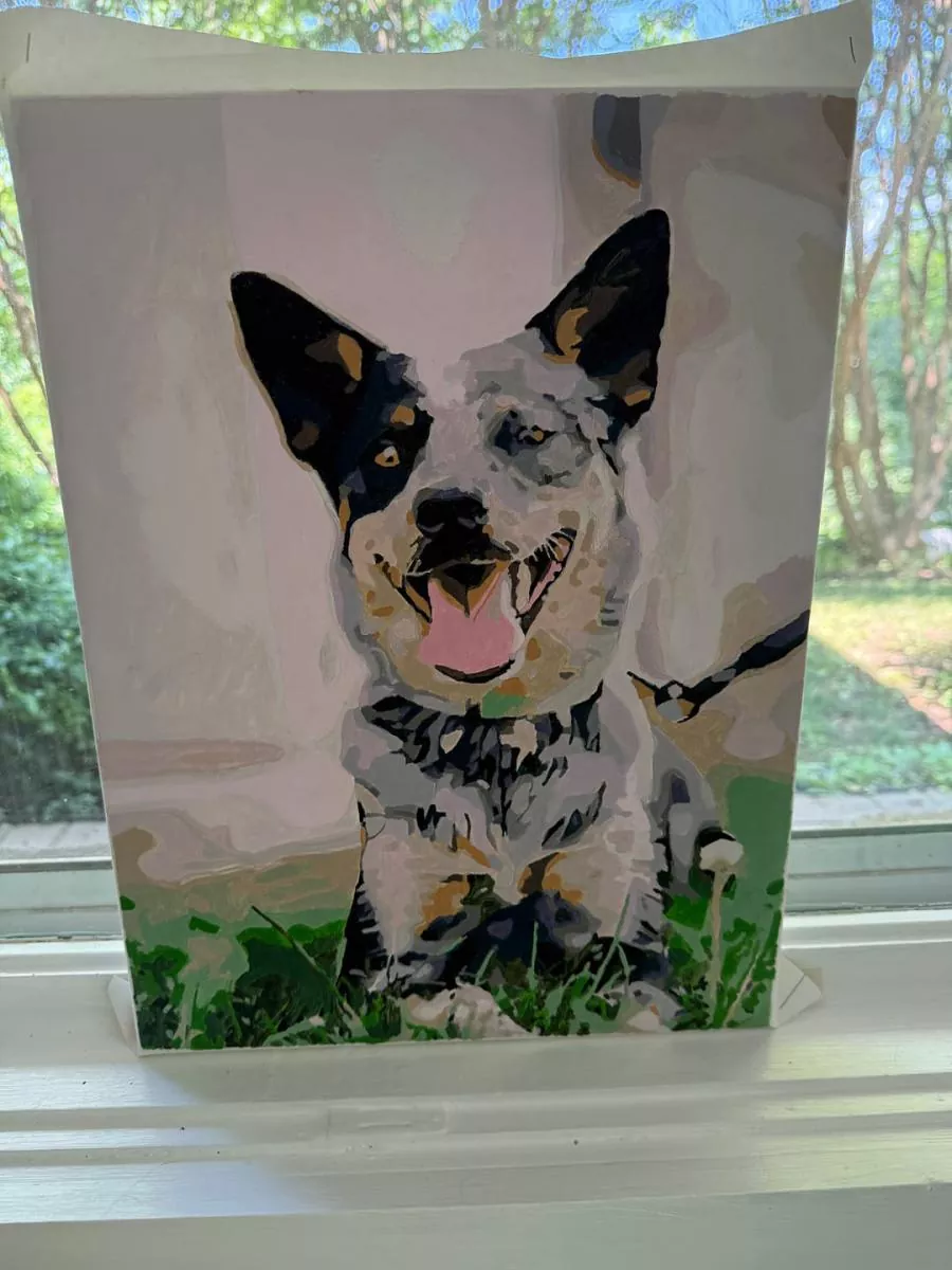 Paint By Numbers Custom​ Pets rev 7